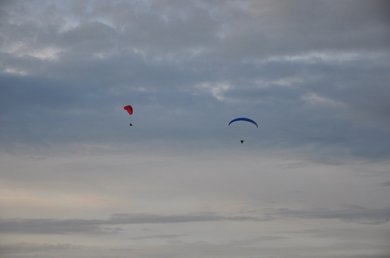 DSC_4071.JPG